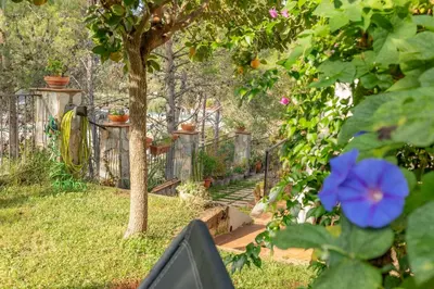 a garden with a fence and a blue flower at EL SECADERO in Alcudia de Veo