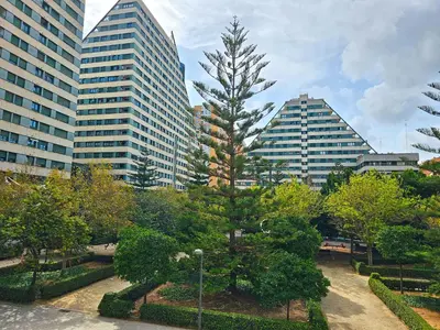 a tree in a park in a city with tall buildings at Apartamentos Las Ciencias O in Valencia