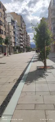 a street with a tree in the middle of a city at Apartament CullerA in Cullera