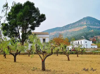 a field with trees and a building and a mountain at El Pino B & B, Chera in Valencia