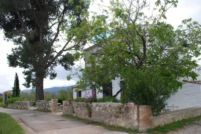 a house with trees and a stone wall next to a street at El Pino B & B, Chera in Valencia