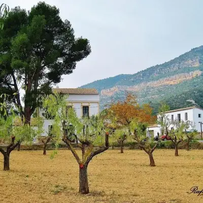 El Pino B & B