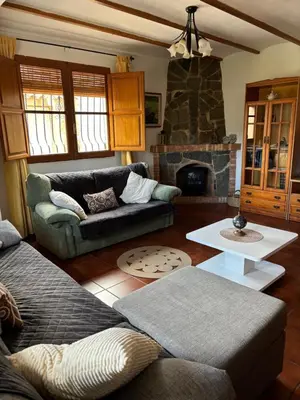 a living room with a couch and a fireplace at RuralRusticHome in Altura