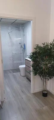 a bathroom with a shower and a toilet and a plant at Apartamento 4 habitaciones 2 baños Ciudad de las Ciencias VT-55209-V in Valencia