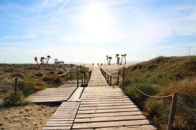 a wooden boardwalk to the beach with palm trees at Global Vacacional, Piso práctico, con terraza y piscina en la playa de Canet in Canet de Berenguer
