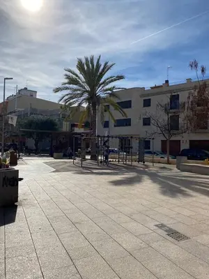 a palm tree in front of a building at Vivienda Planta Baja in Algemesí