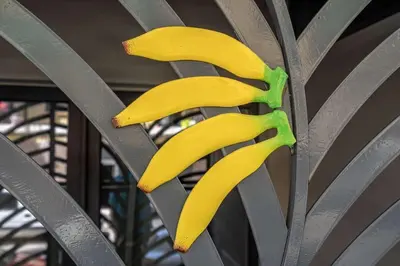 a group of bananas sitting on top of a plant at Fantastic Loft with an exquisite design in Valencia