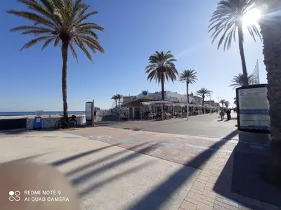 a sidewalk with palm trees on a beach at Beach Nice Flat in Playa Pobla de Farnals