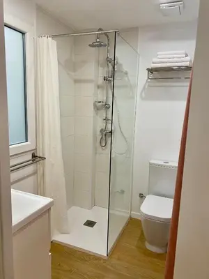 a bathroom with a shower and a toilet at RIZADA RUZAFA in Valencia