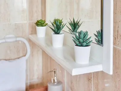 a bathroom with three potted plants on a shelf at EL RINCÓN VERDE in Puerto de Sagunto