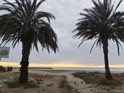 two palm trees on the beach at sunset at EL RINCÓN VERDE in Puerto de Sagunto