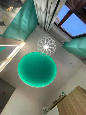 a room with a green ceiling and a chandelier at Lounge garden sea mint fresh in Valencia