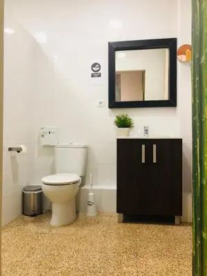 a bathroom with a toilet and a mirror at VALENCIA SUITS YOU Centro Histórico, Establecimiento Automatizado-Fast Auto Check in&Out, Solo para Adultos-Adults only in Valencia