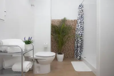 a bathroom with a toilet and plants in a shower at SingularStays SEU V in Valencia