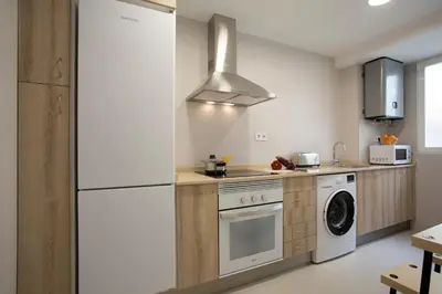 a kitchen with a white refrigerator and a dishwasher at SingularStays Campanar in Valencia