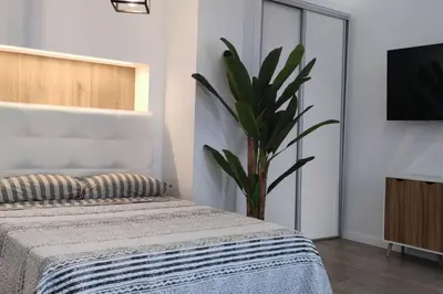 a bedroom with a bed with a plant next to a tv at Estudio diseño cerca Ciudad Ciencias VT-55211-V in Valencia