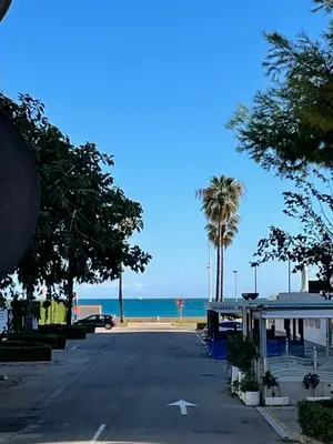 an empty street next to the beach with palm trees at Almar Collection Cullera Bahía Park in Cullera