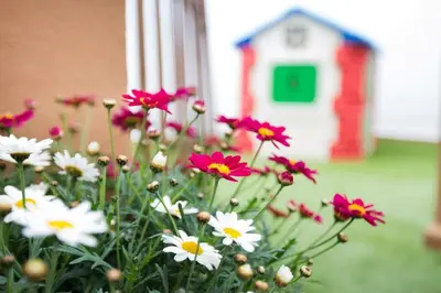 a bouquet of flowers in front of a red and white house at Family Century House with terrace and parking in Valencia