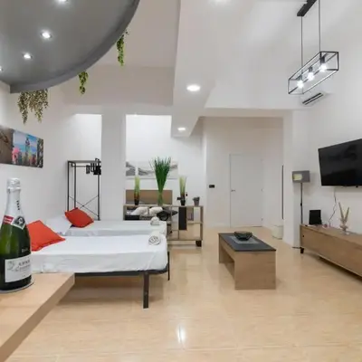 Spacious OCEANOGRAFIC Flats Valencia