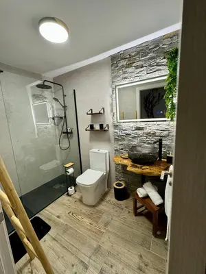 a bathroom with a shower and a toilet and a sink at La Casucha de Chulilla in Chulilla