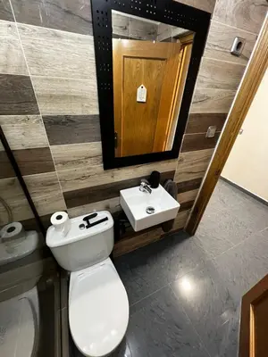 a bathroom with a toilet and a sink and a mirror at RMN TOURIST HOME in Valencia
