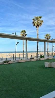 a view of a beach with palm trees and a fence at Reinapart Patacona Beach 40 in Valencia