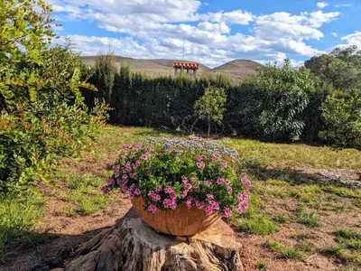 a flower pot sitting on top of a tree stump at Buen Estar, piscina, barbacoa, jacuzzi en Valencia in Turís