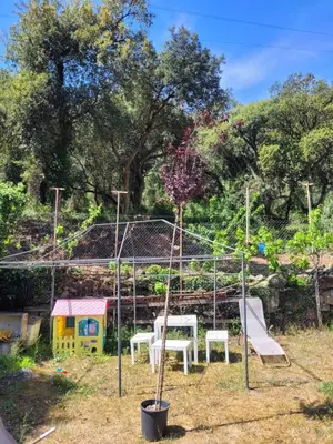 a playground with a tree and a swing set at Trocito de Paraíso en la Sierra Espadán in Eslida