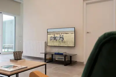 a living room with a tv on a wall at SingularStays Picaña in Picanya