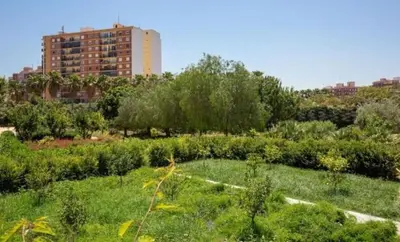 a park with trees and bushes and a building at Apartamento nuevo cerca de la playa y céntrico in Valencia
