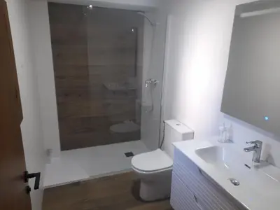 a bathroom with a shower and a toilet and a sink at L'Amagatall in Ahín