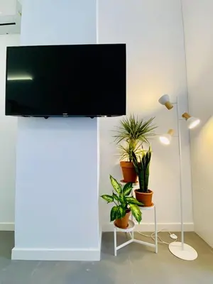 a living room with potted plants and a flat screen tv at Lindo Cabanyal - Comfort Family Beachside Apartment in Valencia