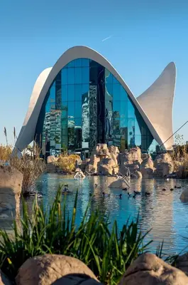 a view of the sydney opera house with ducks in the water at Habitación céntrica de Lujo Gv 5 in Valencia