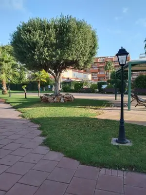 a park with a tree and a street light at APARTAMENTO PLANTA BAJA CANET DE BERENGUER in Canet de Berenguer