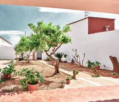 a courtyard with trees and plants in front of a building at Bombonera 2 Jacuzzi in Catadau