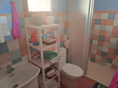 a bathroom with a white toilet and a sink at Casa Rural Judith in Segorbe