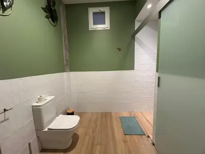a bathroom with a toilet and a green wall at Mestalla Garden in Valencia