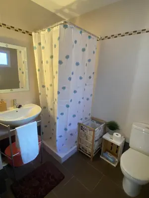 a bathroom with a shower and a toilet and a sink at Pericos Gilet in Gilet