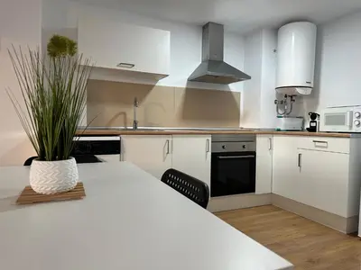 a kitchen with a table with a potted plant on it at Apartamentos Canet al Mar. in Canet de Berenguer