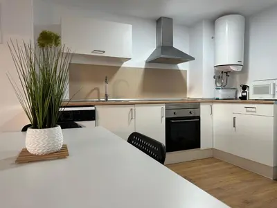 a kitchen with a table with a potted plant on it at Apartamentos Canet al Mar. in Canet de Berenguer