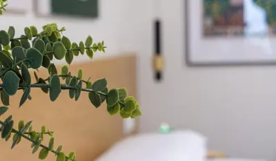a plant in a pot in a room with a picture at Osito Hub - Duque de Gaeta in Valencia