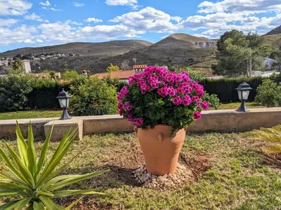 a large pot of pink flowers in a garden at Chalet con piscina, barbacoa y jacuzzi en Valencia in Turís
