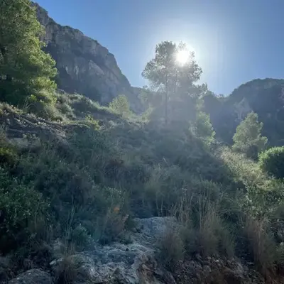 Cullera Mountain View