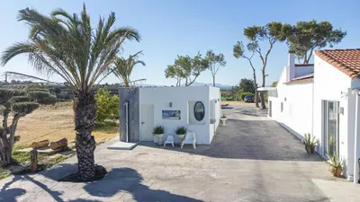 a palm tree sitting next to a white building at La Villa de Luz in Torrent