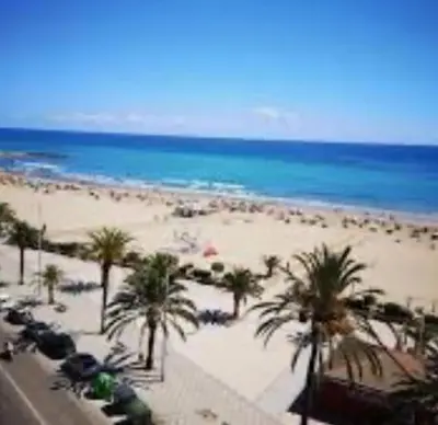 a view of a beach with palm trees and the ocean at UIM Mediterraneo Cendoya 4 Wifi in Puerto de Sagunto
