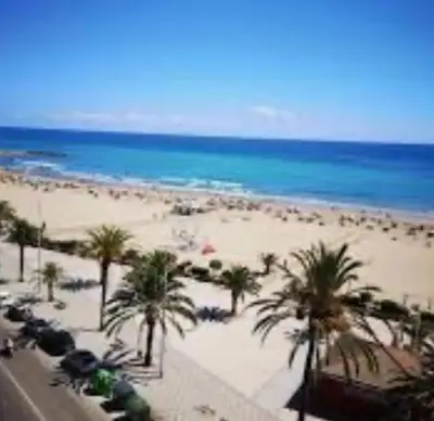 a view of a beach with palm trees and the ocean at UIM Mediterraneo Cendoya 5 Wifi in Puerto de Sagunto