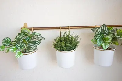 three potted plants are hanging on a wall at Global Vacacional, Moderno apartamento con piscina y terraza en la playa de Canet in Canet de Berenguer