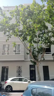 a white car parked next to a tree in front of a building at FLORIT FLATS - The Patraix Apartments in Valencia