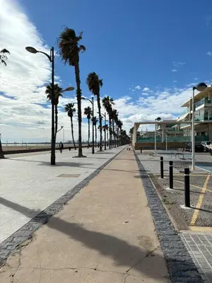 a street lined with palm trees and a building at Playa Patacona con vistas al mar in Valencia