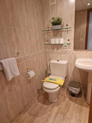 a bathroom with a toilet and a sink at Playa Patacona con vistas al mar in Valencia
